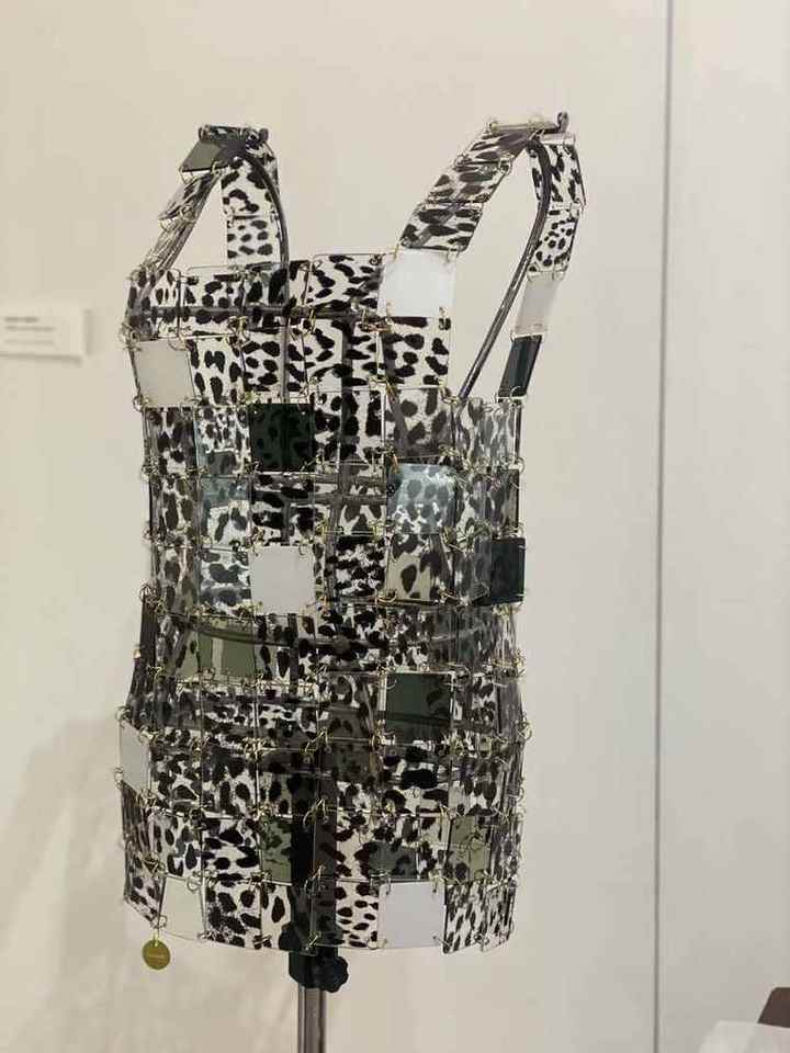 Glass Dress view 4